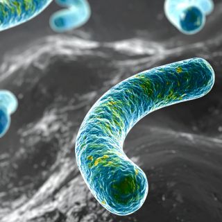 Chroni przed nawrotami infekcji