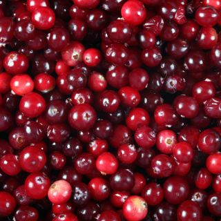 Ekstrakt z żurawiny (Vaccinium macrocarpon)