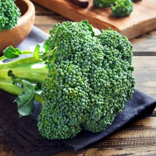 Proszek z brokułów (Brassica oleracea)